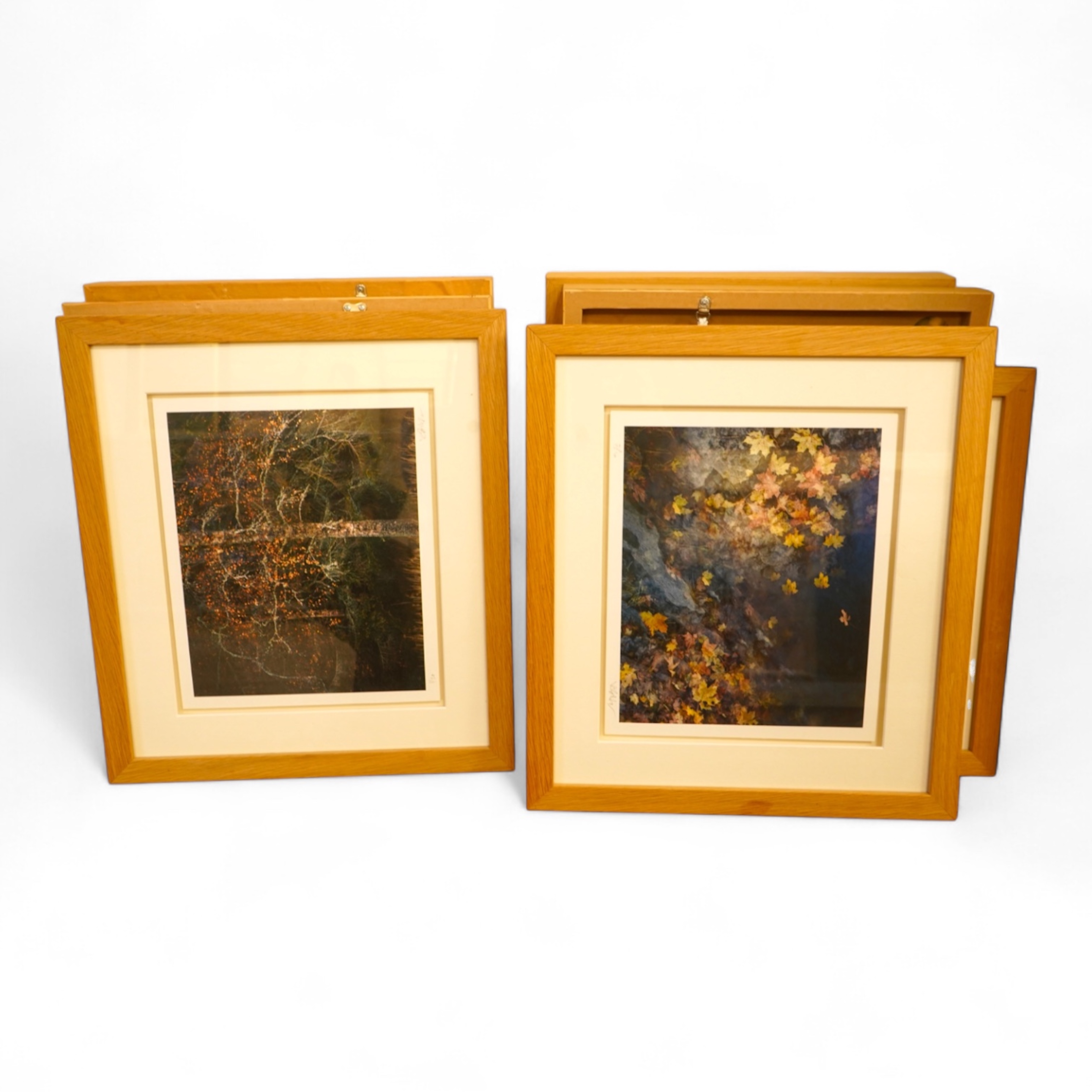 Valda Bailey (contemporary), Still lifes and studies of trees, each signed in pencil / ink and limited edition, seven photographic prints, 25 x 29cm, Provenance: The Tanyards Collection, East Sussex